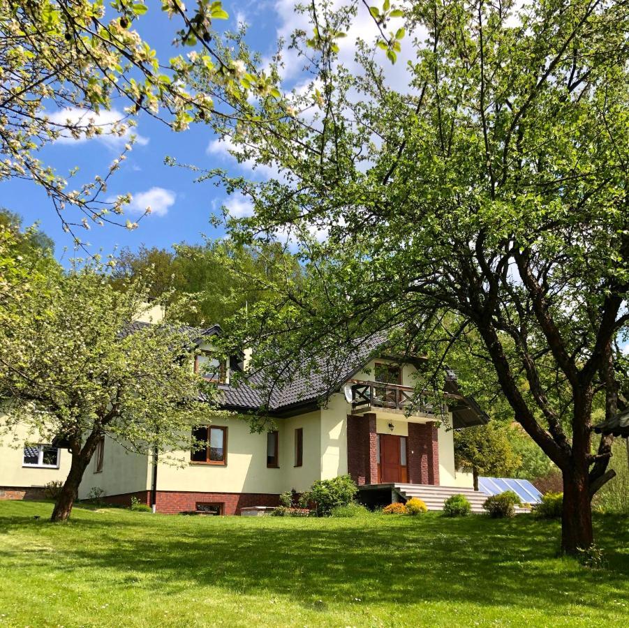 Villa Sianki nad Sanem Sanok Exterior foto