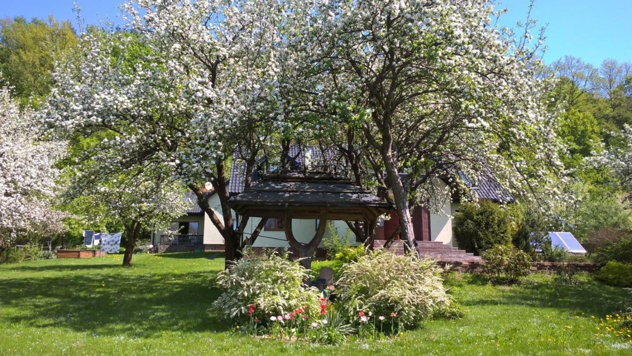 Villa Sianki nad Sanem Sanok Exterior foto